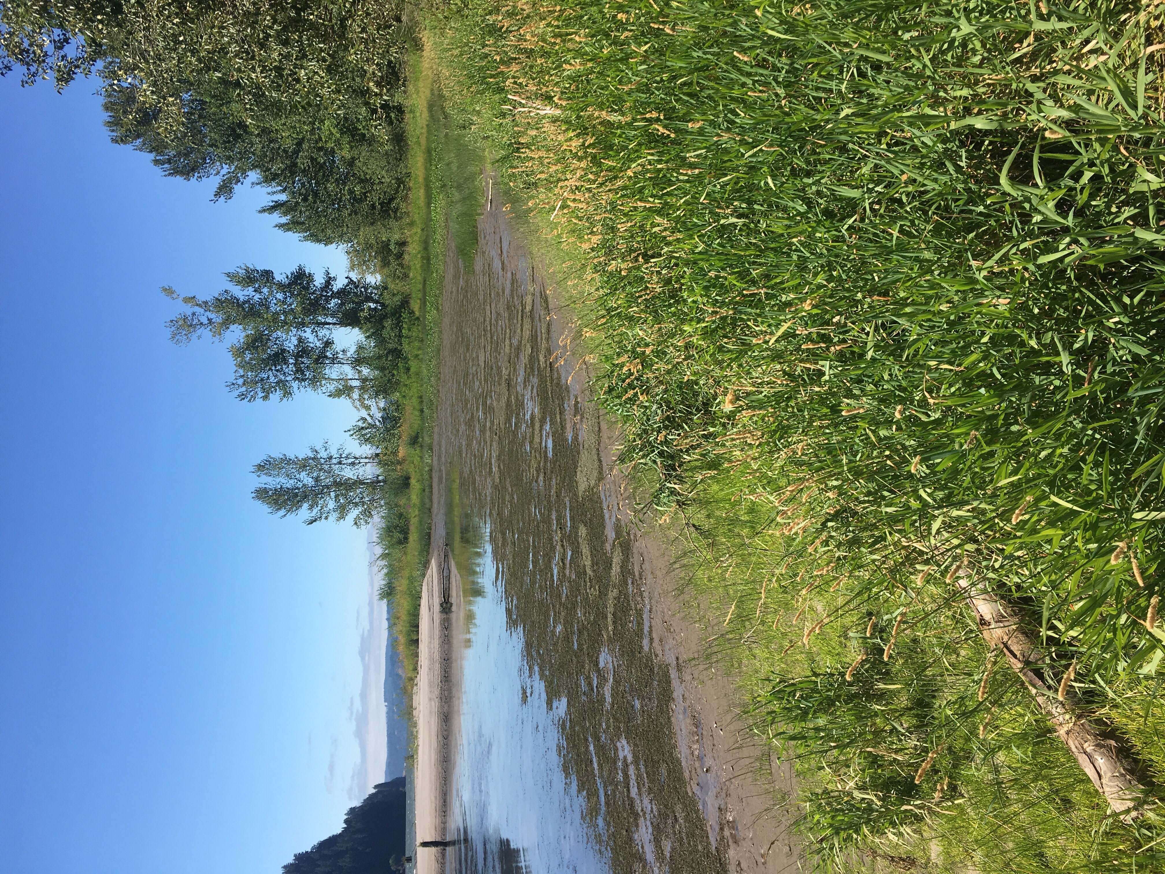 Walker Island West (OR) Estuary Partnership